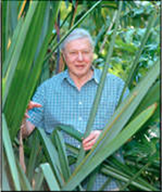 Sir David Attenborough