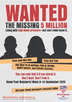 Wanted The Missing 5 Million Poster